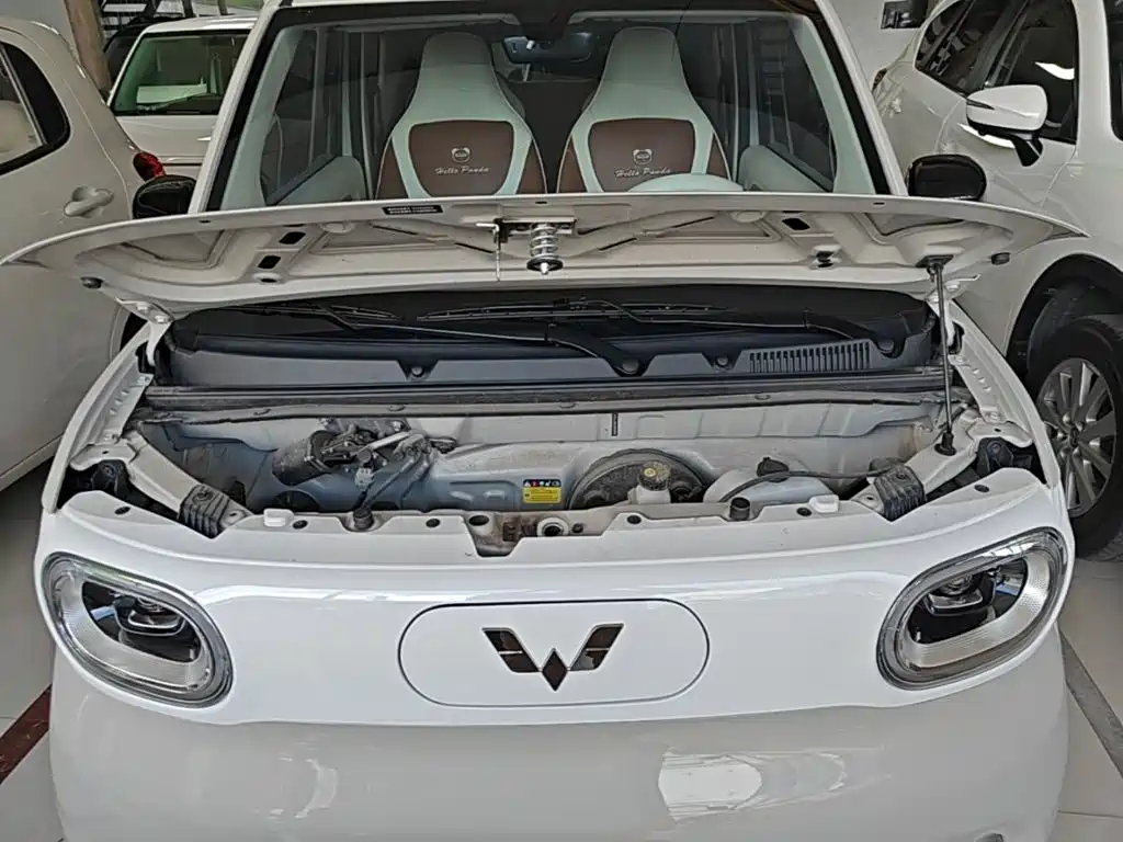 Wuling MINIEV — миниатюра 20