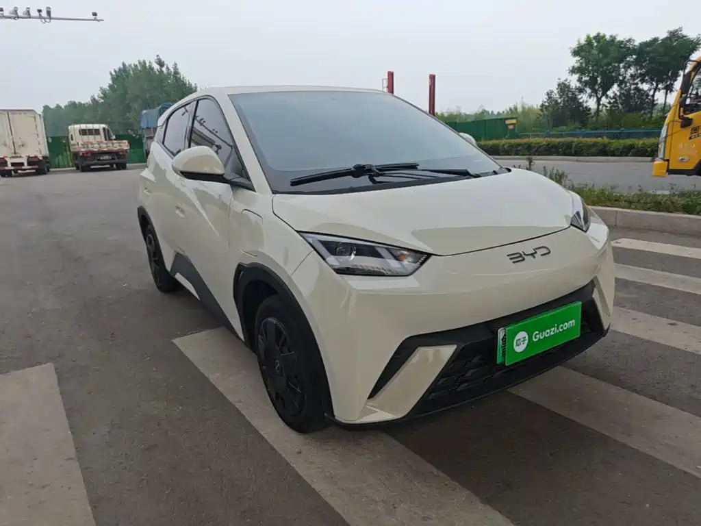 BYD Seagull 2024 305km