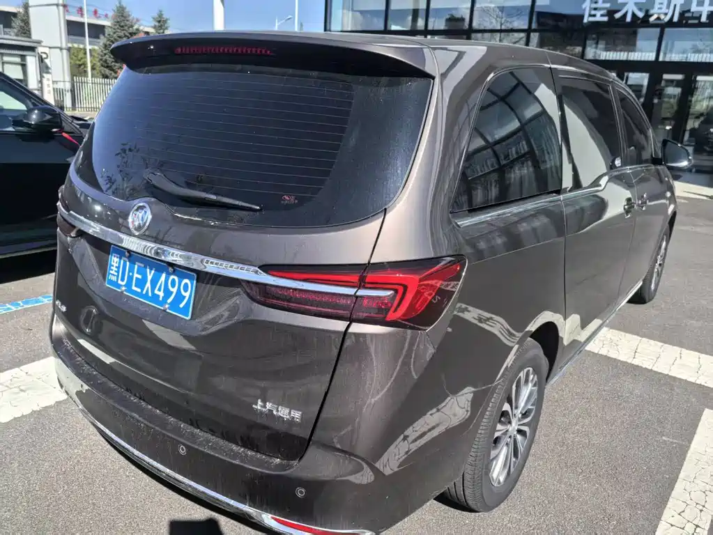 Buick GL8 — миниатюра 10
