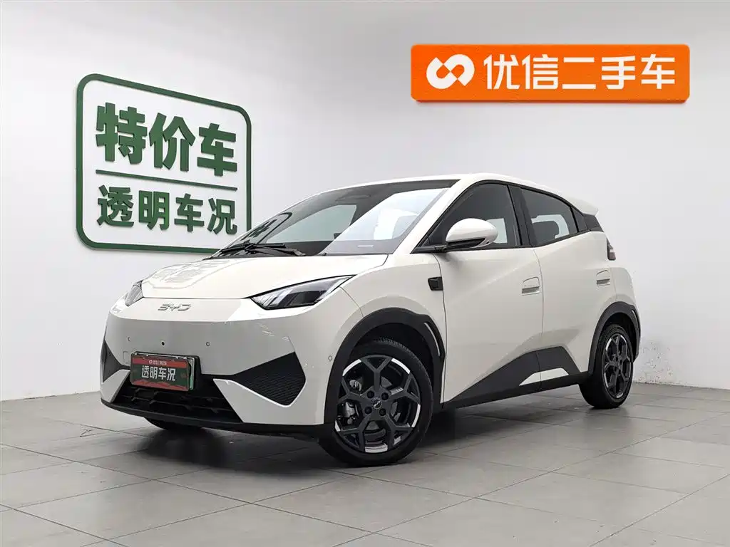 Byd Seagull 2025