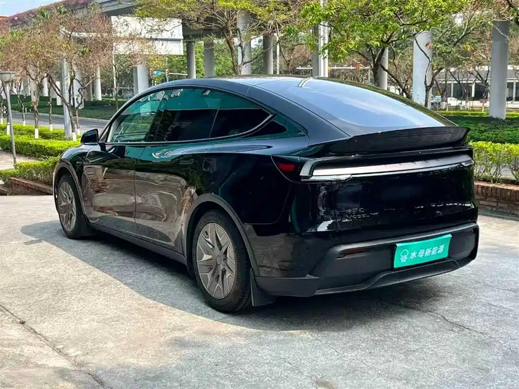 Tesla Model Y L — миниатюра 6