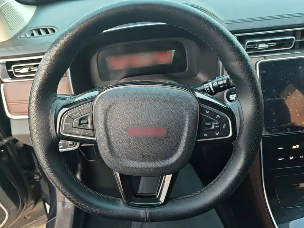 VGV U75 Plus 2.0 TGDI luxury pro 7 seats, фото 11