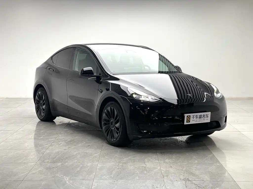 Tesla Model Y — миниатюра 3