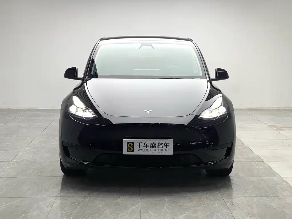 Tesla Model Y — миниатюра 2