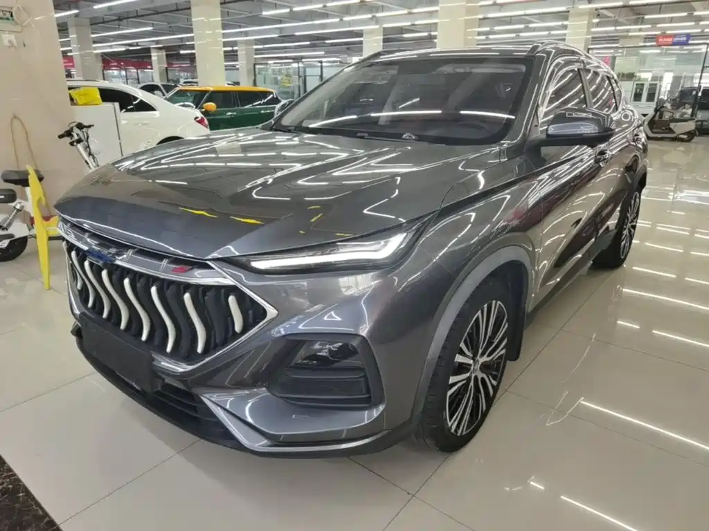 Oshan Oushang X5 — миниатюра 2