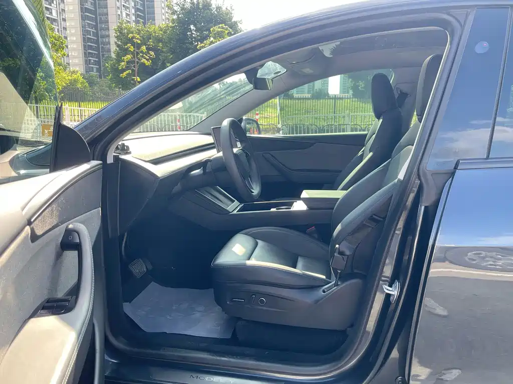 Tesla Model Y — миниатюра 6