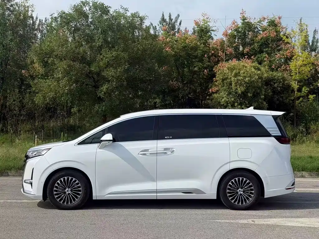 Denza Denza D9 — миниатюра 11