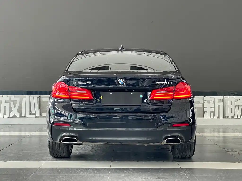 BMW 5 Series — миниатюра 5