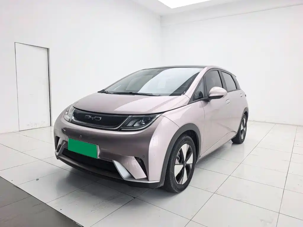 2023 BYD Dolphin - zdjęcie 1 z 9