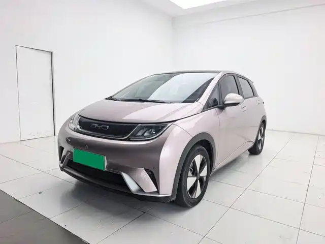 2023 BYD Dolphin
