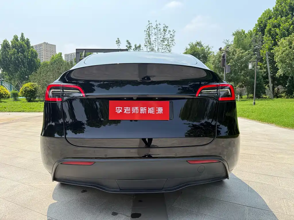Tesla Model Y — миниатюра 7