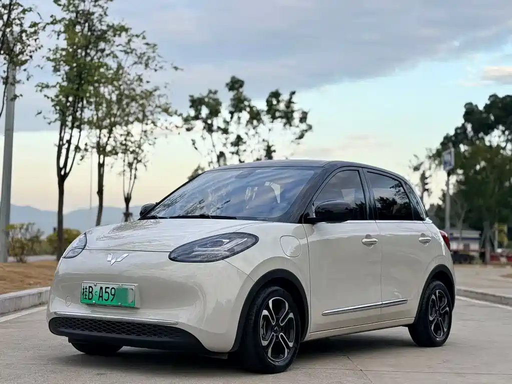 Wuling Bingo 2024
