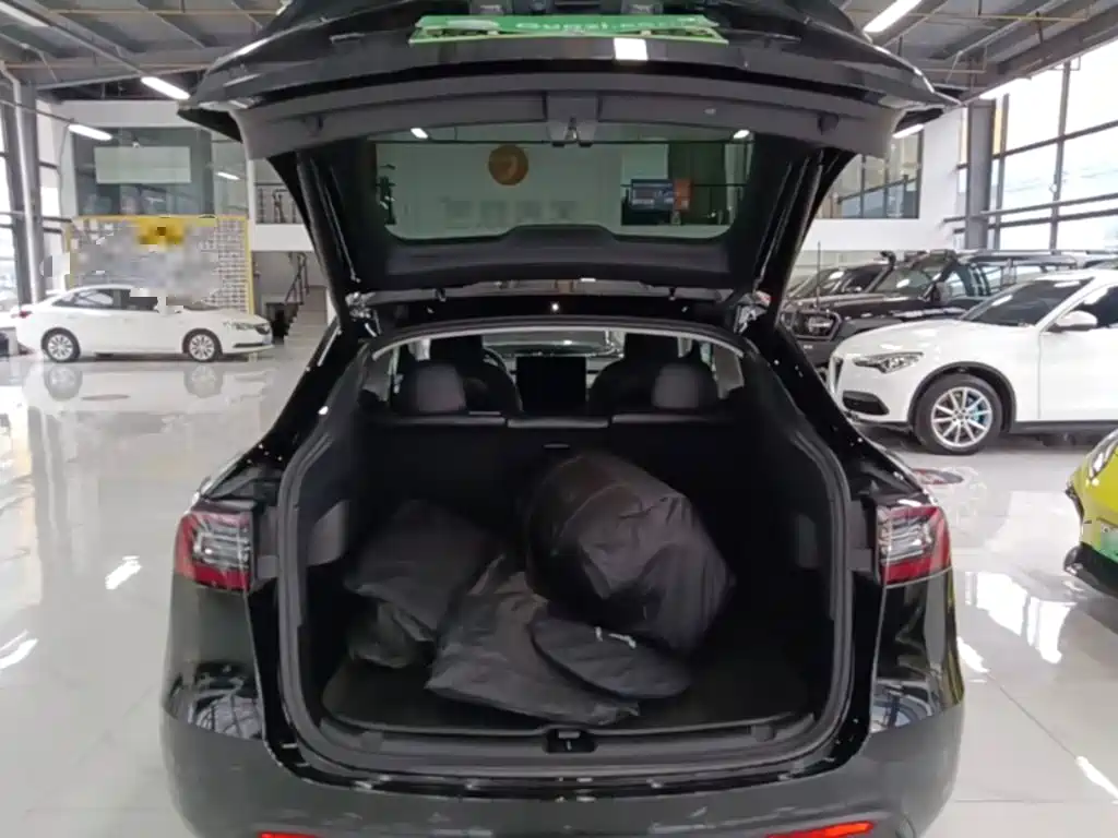 Tesla Model Y — миниатюра 19