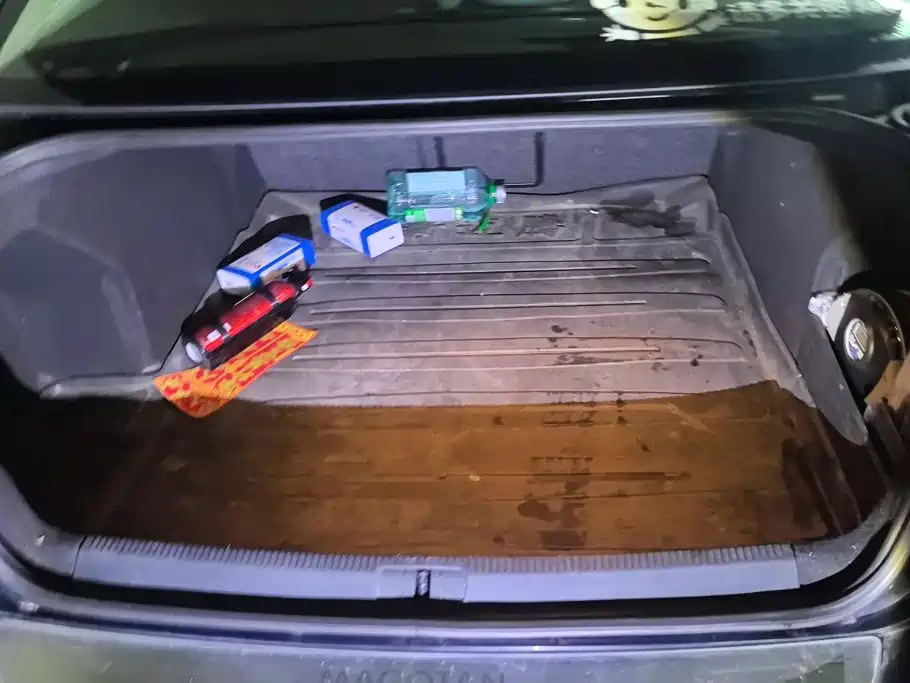 Volkswagen Magotan — миниатюра 4