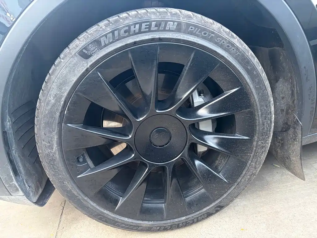 Tesla Model Y — миниатюра 10
