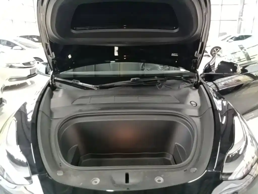 Tesla Model Y — миниатюра 20