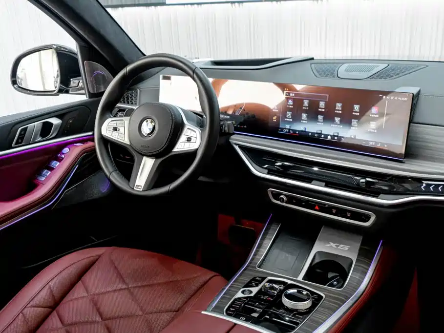 BMW X5 — миниатюра 27