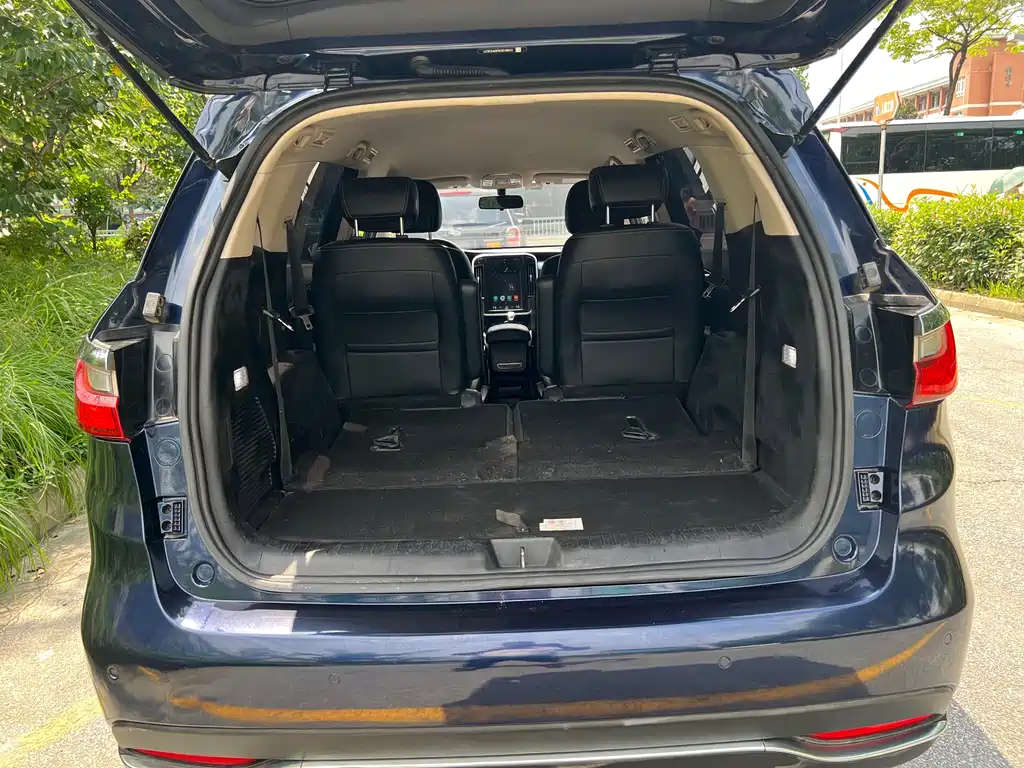 BYD MAX — миниатюра 16