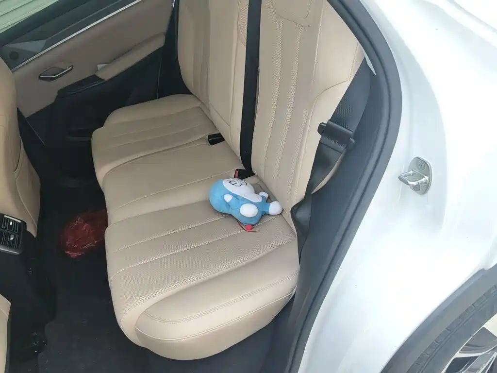 BYD Pro New Energy — миниатюра 15