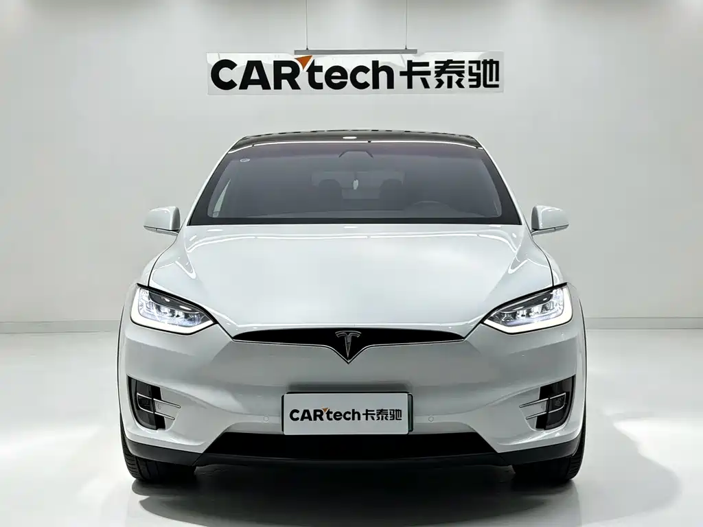 Tesla Model X — миниатюра 2