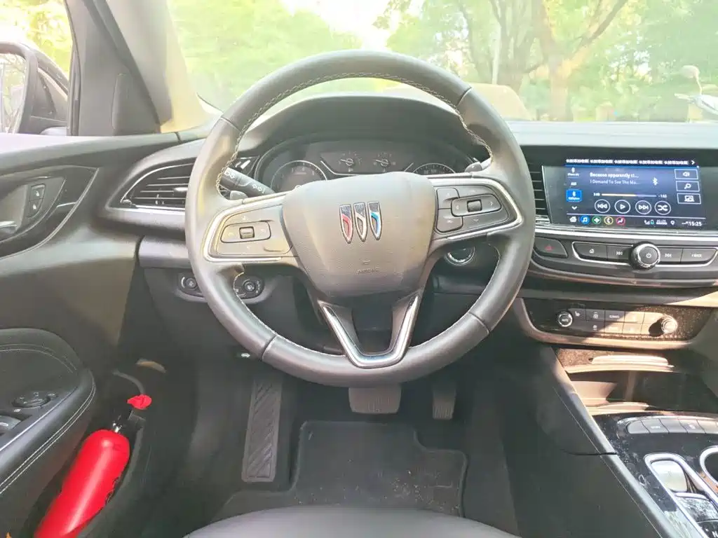 Buick Regal — миниатюра 6