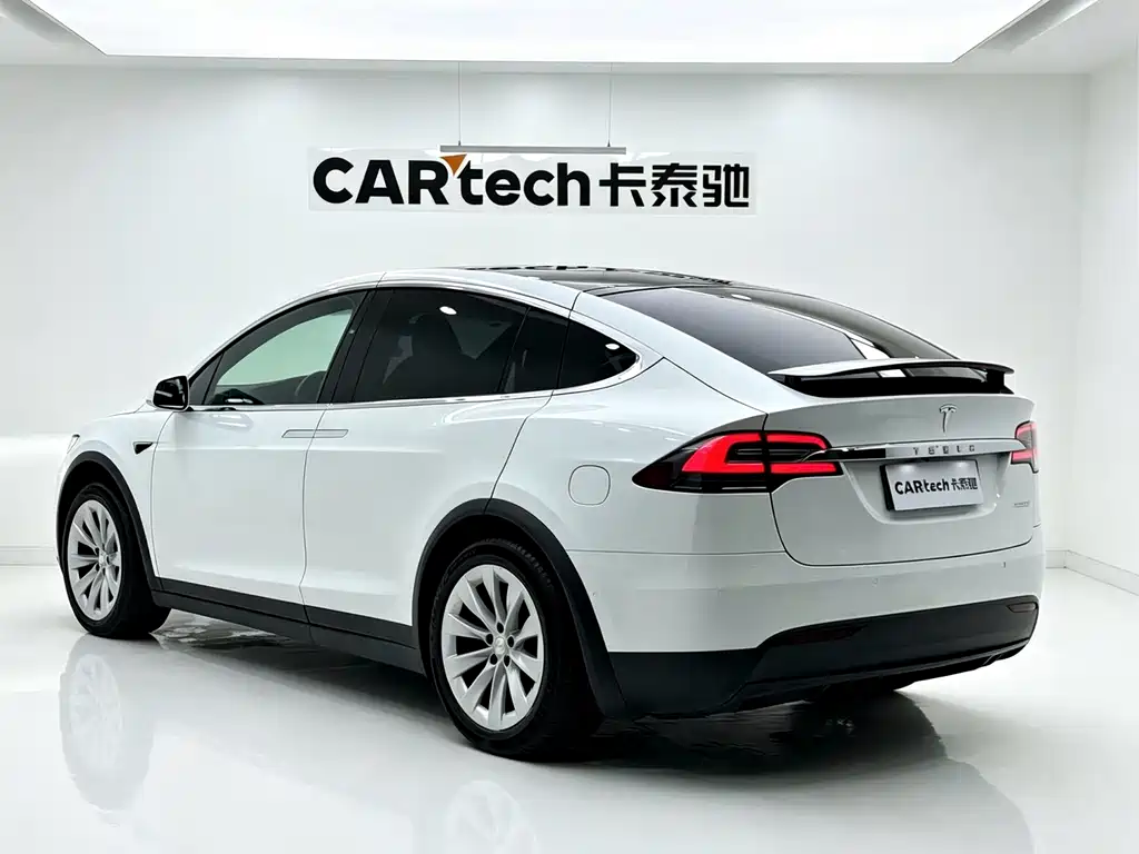Tesla Model X — миниатюра 5