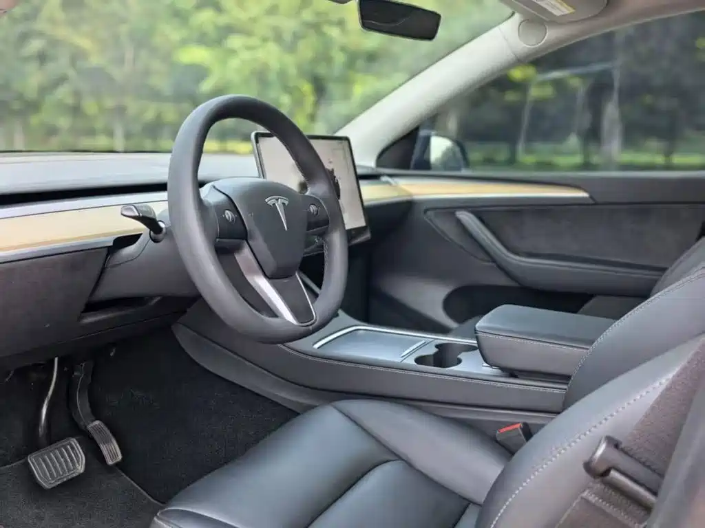 Tesla Model Y — миниатюра 16