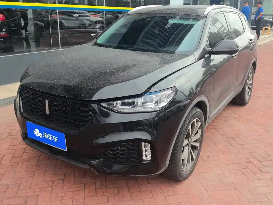 Wey Wey VV6