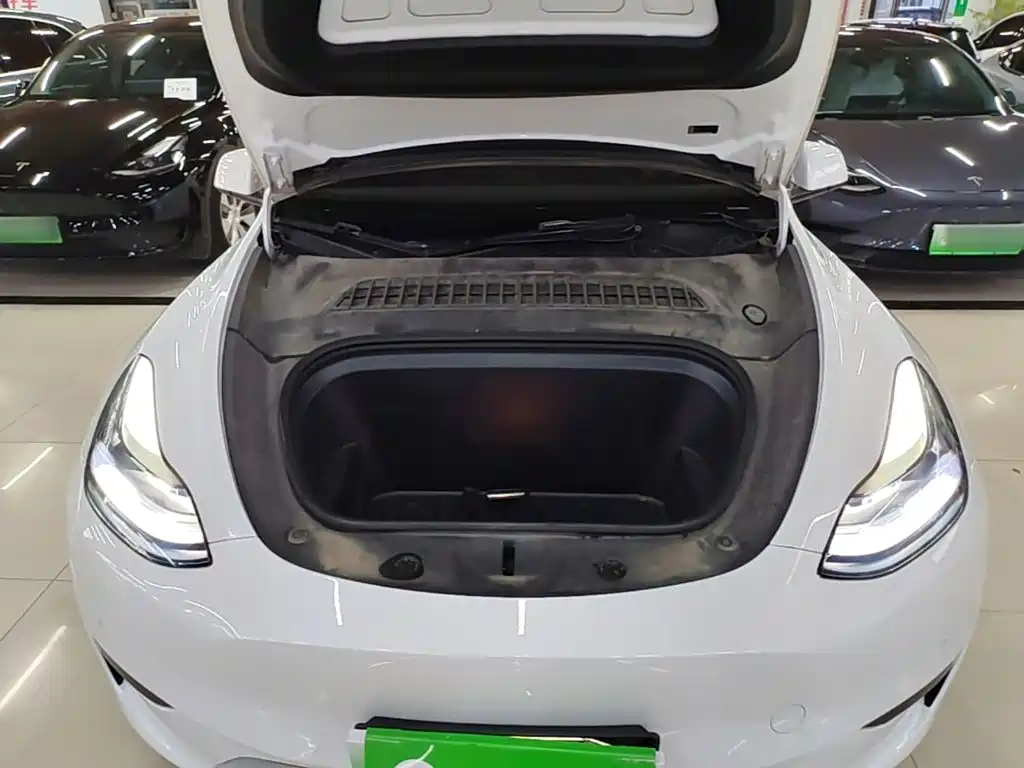 Tesla Model Y — миниатюра 20