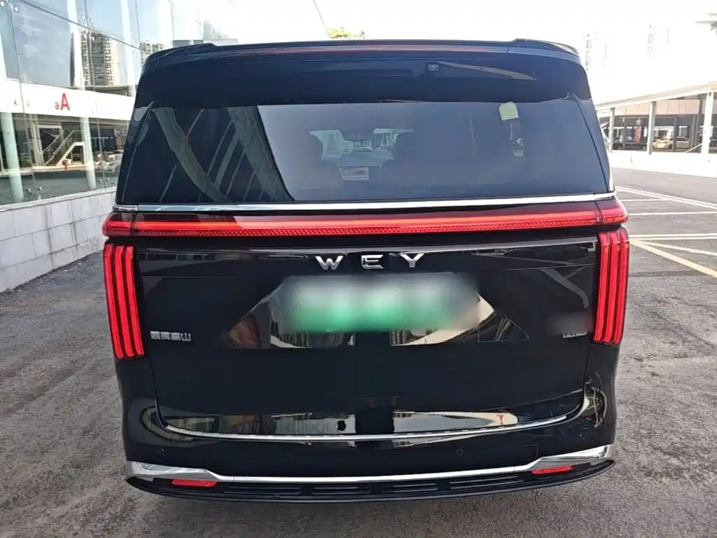 Wey Wey Gaoshan New Energy — миниатюра 6