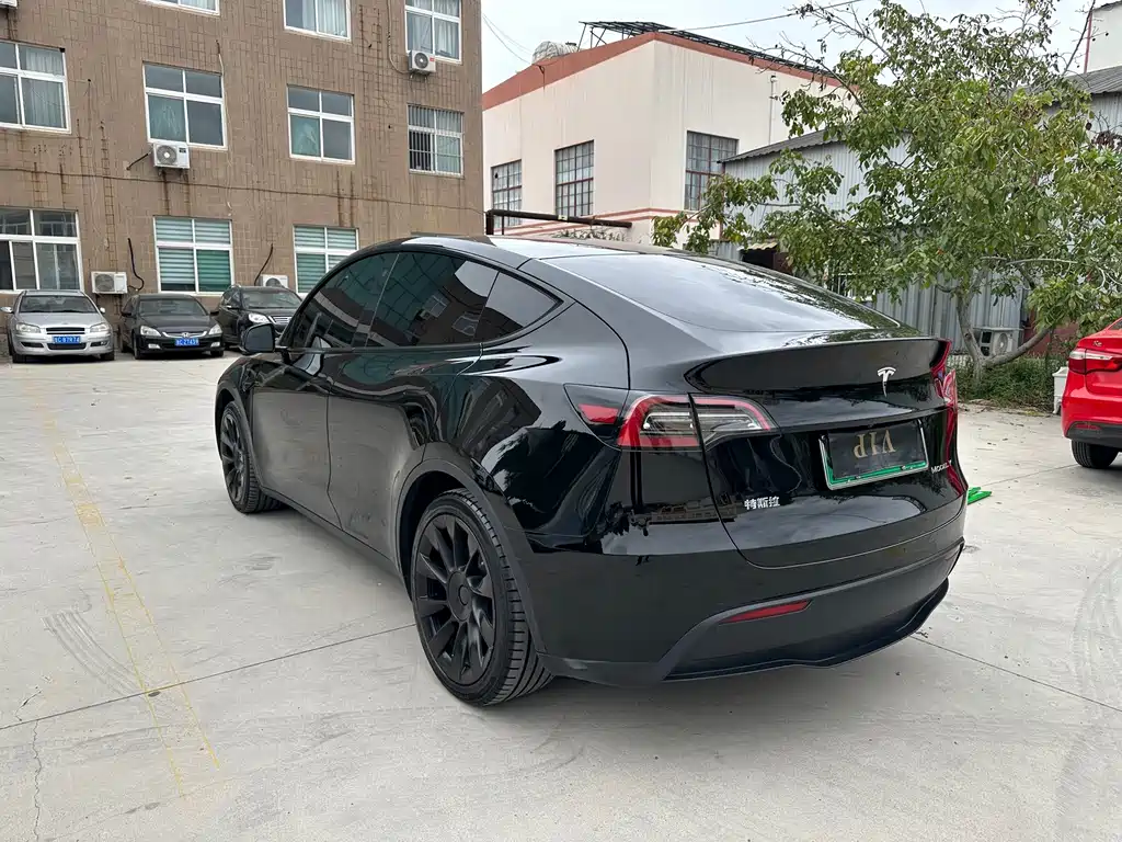 Tesla Model Y — миниатюра 8