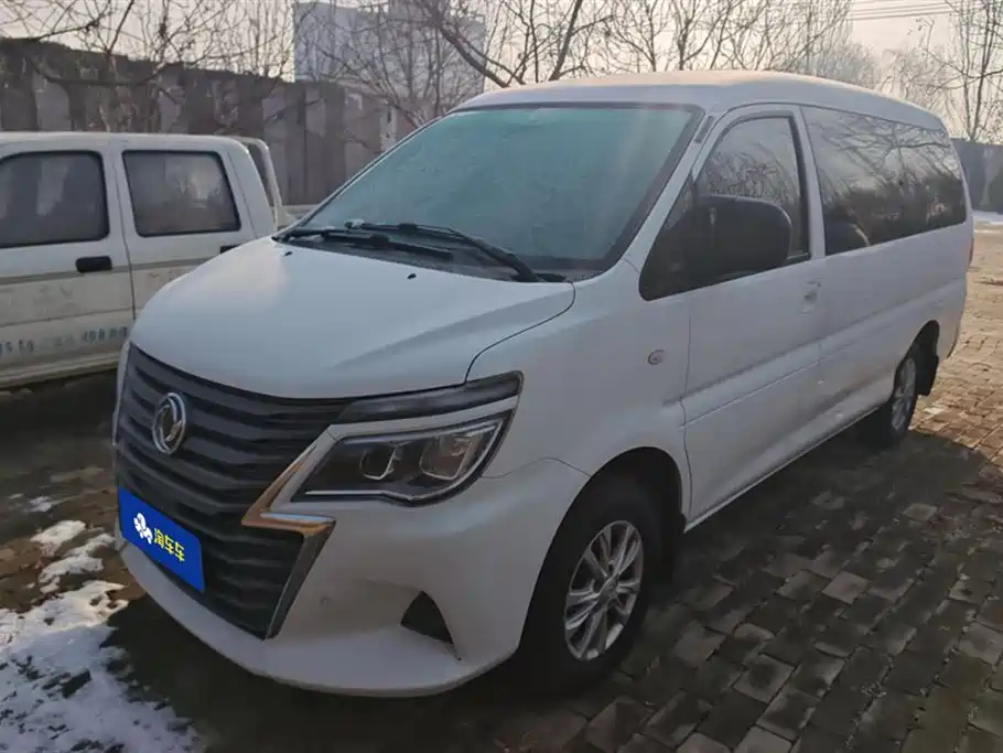 Fengxing Lingzhi 2020