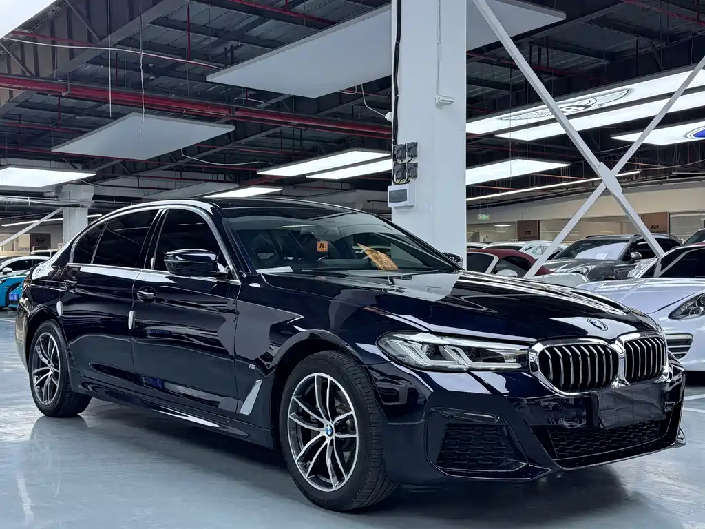 BMW 5 Series — миниатюра 3