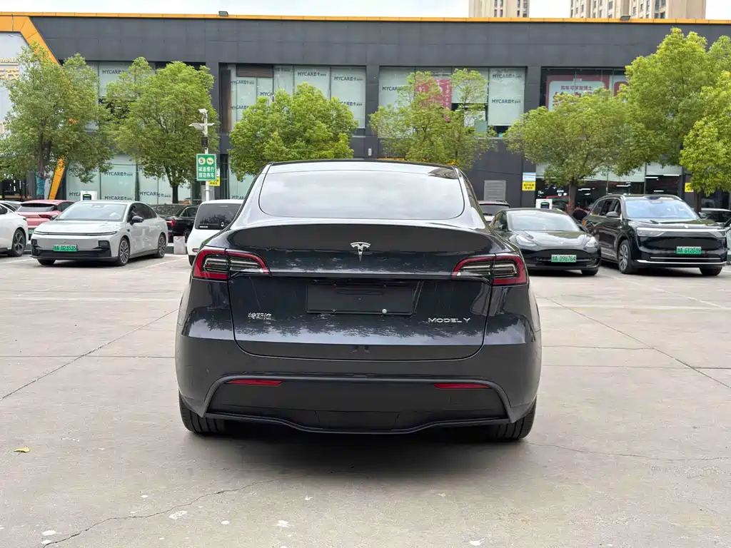 Tesla Model Y — миниатюра 12