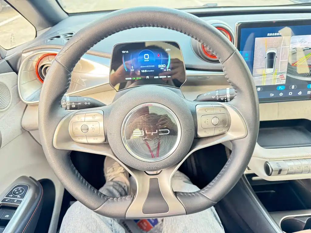 BYD Dolphin — миниатюра 20