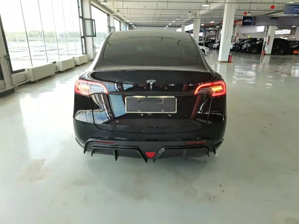 Tesla Model Y — миниатюра 6
