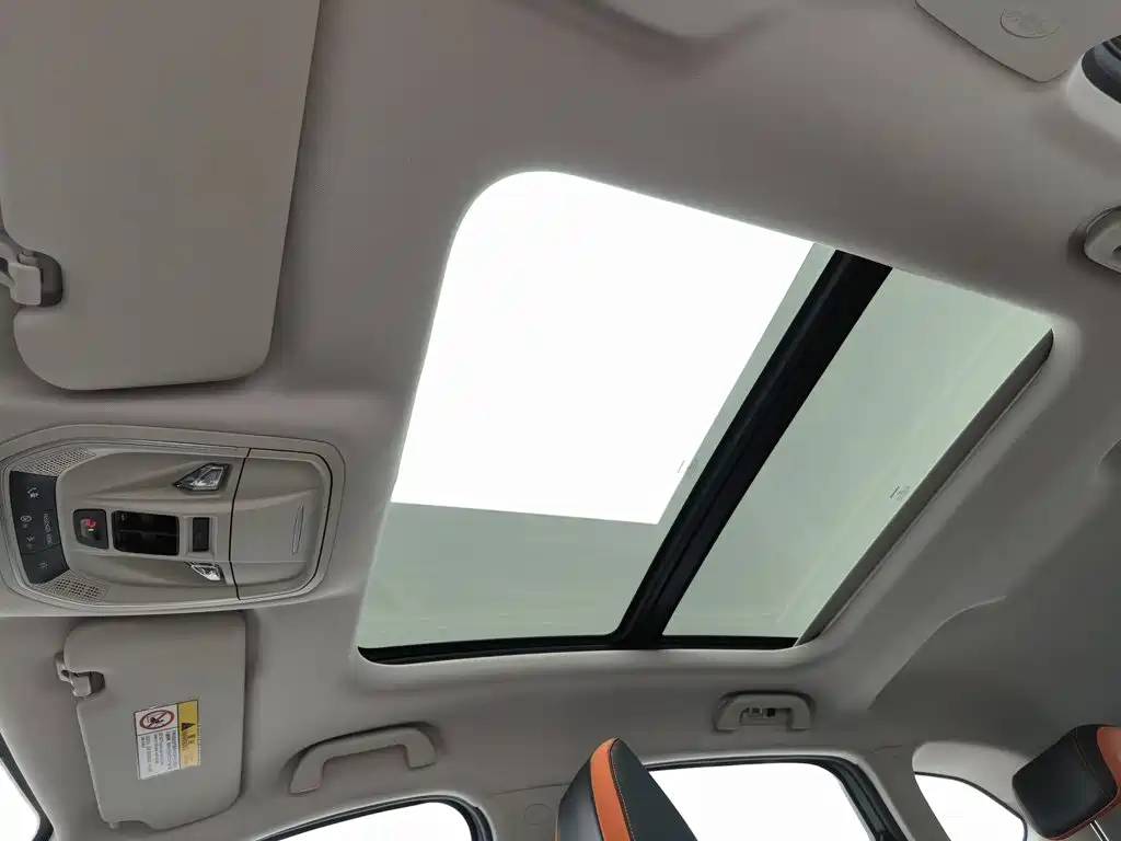 Haval Chitu — миниатюра 14