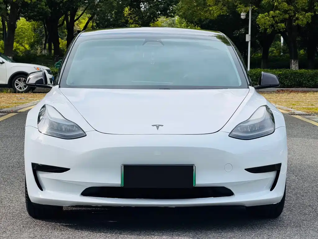 Tesla Model 3 — миниатюра 2