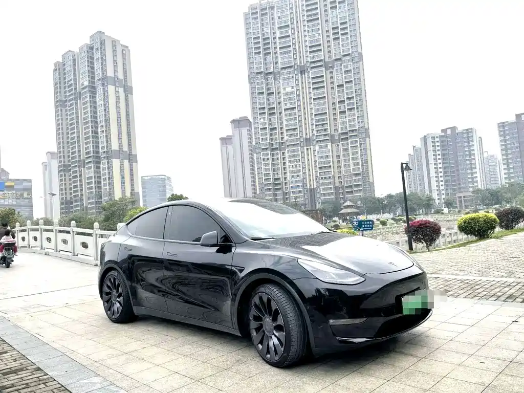 Tesla Model Y — миниатюра 2