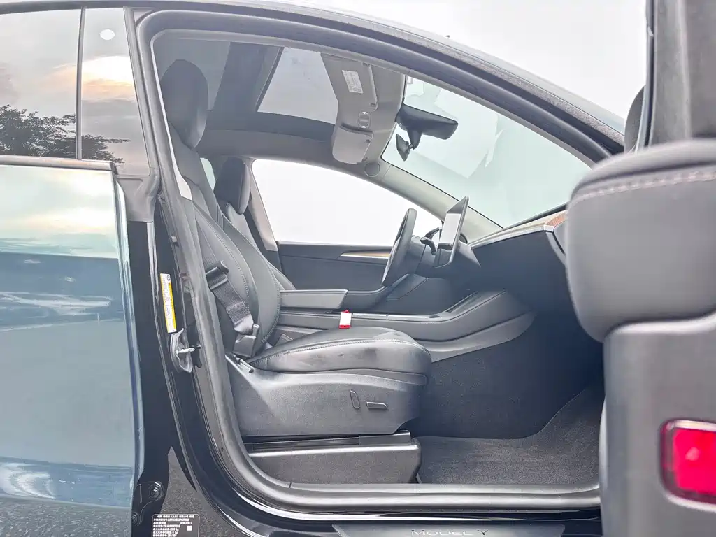 Tesla Model Y — миниатюра 7