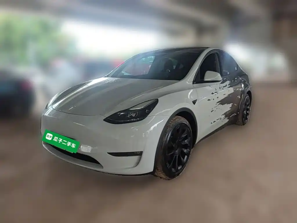 Tesla Model Y — миниатюра 3