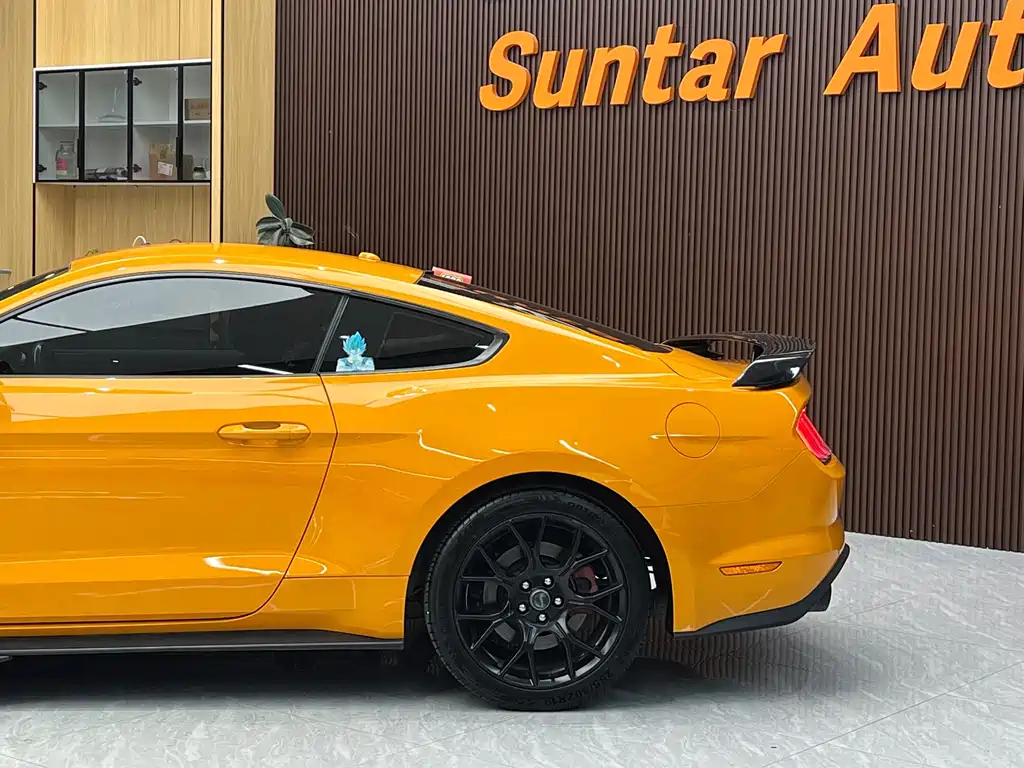 Ford Mustang — миниатюра 14