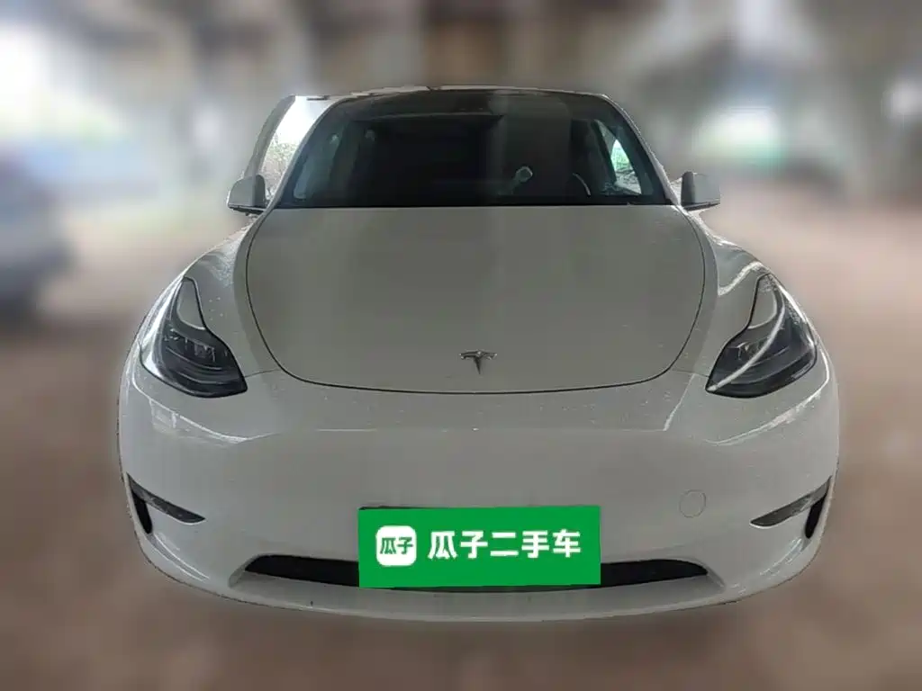 Tesla Model Y — миниатюра 5
