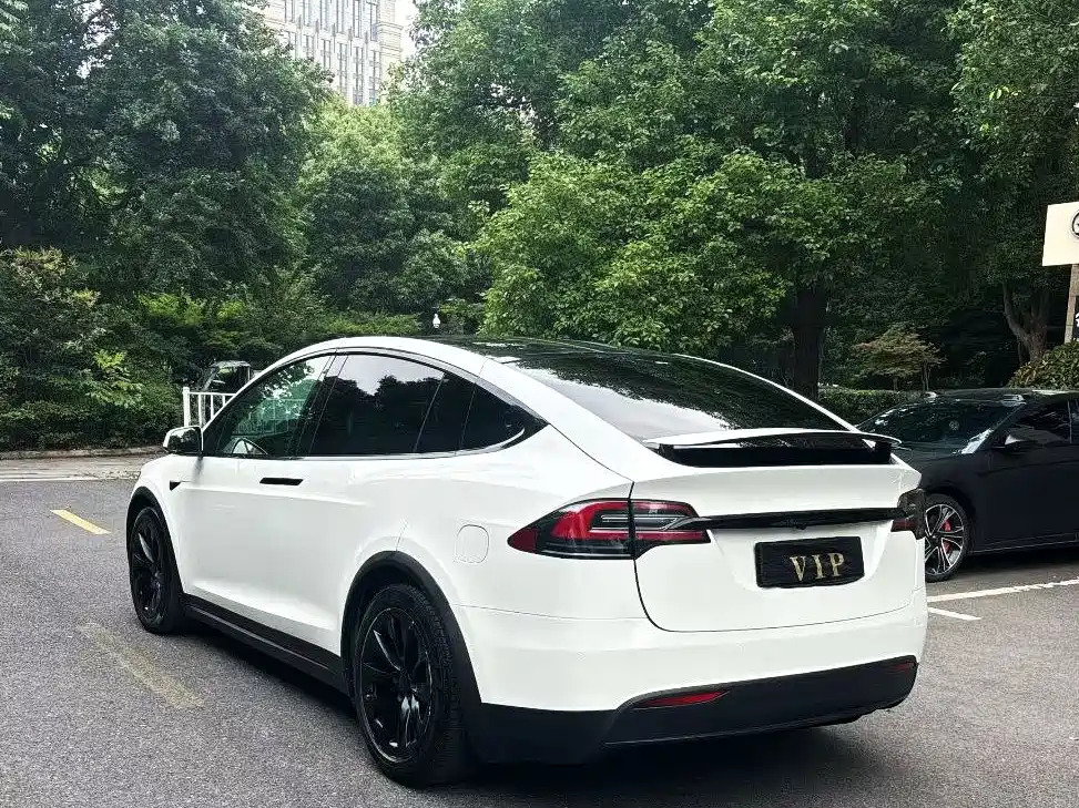 Tesla Model X — миниатюра 4