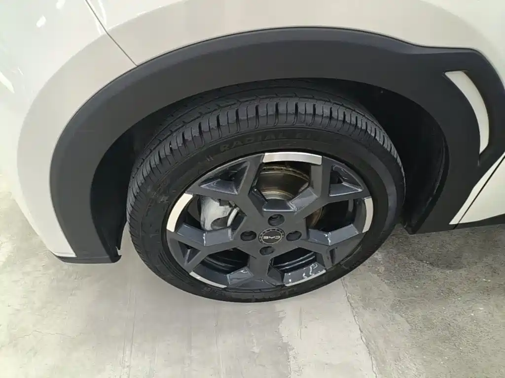 BYD Seagull — миниатюра 23
