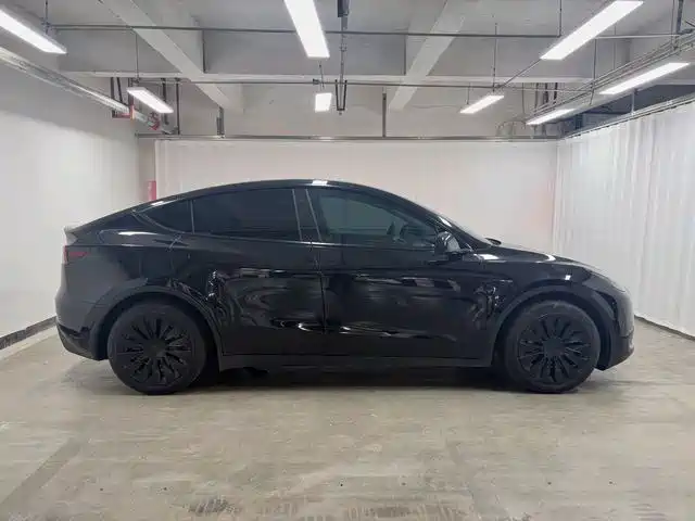 Tesla Model Y — миниатюра 9