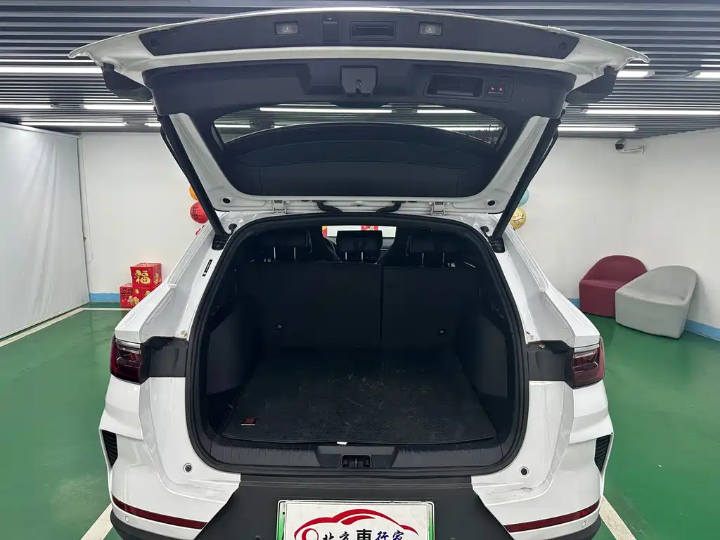 BYD PLUS New Energy — миниатюра 25
