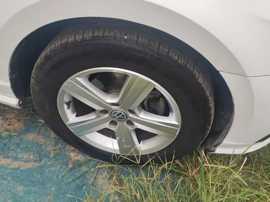 Volkswagen Lamando — миниатюра 6