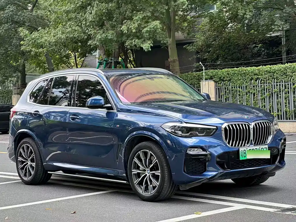 BMW X5 New Energy (Import) — миниатюра 2