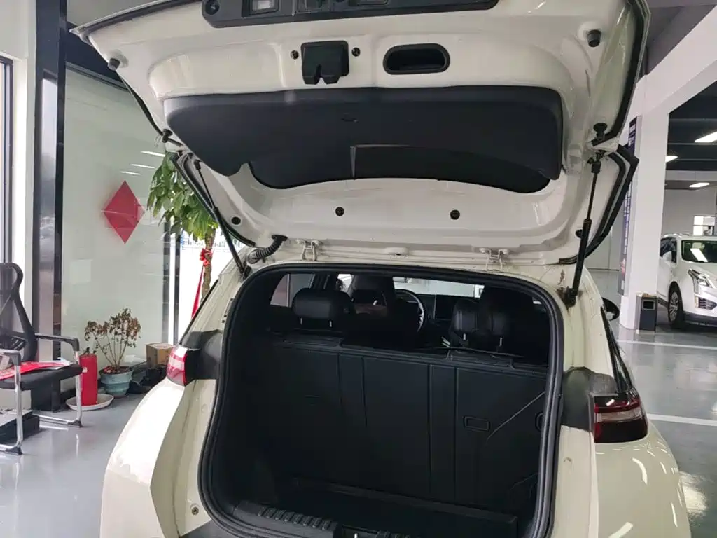 BYD Seagull — миниатюра 19